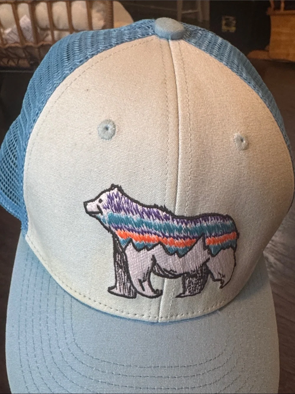 Patagonia Light Blue and Cream Kids Trucker Hat with Striped Bear Patch